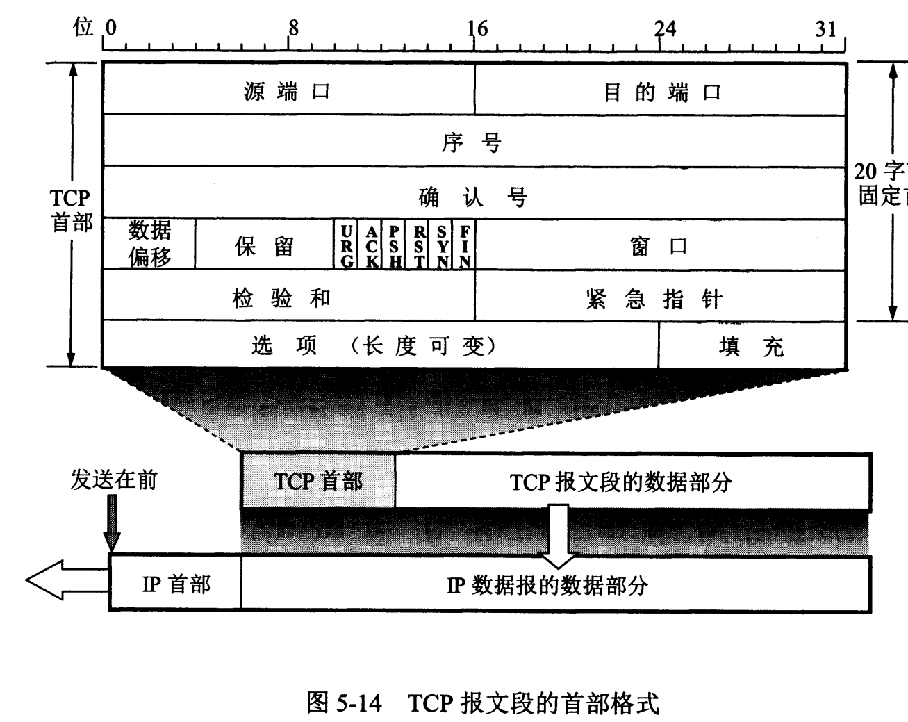 TCP首部格式